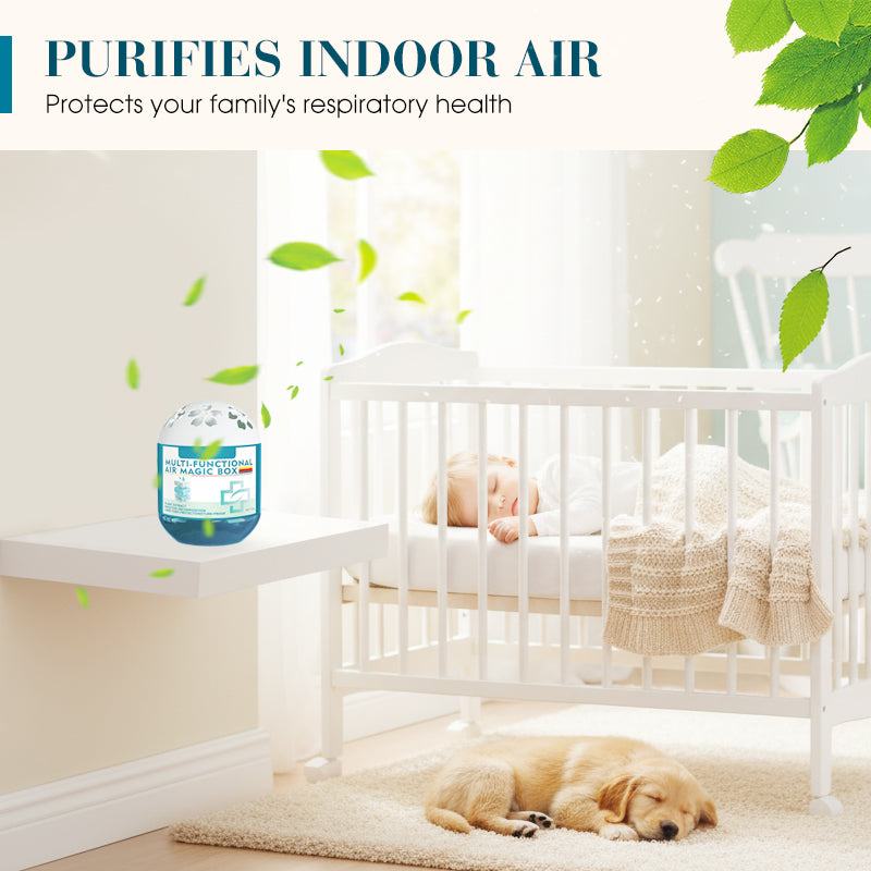 🔥 Limited-Time Pre-Sale⏰Indoor Air Purification Dust Removal Magic Box🏠🌿